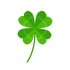 Lucky four-leaf clover icon. Vector illustration isolated on white background